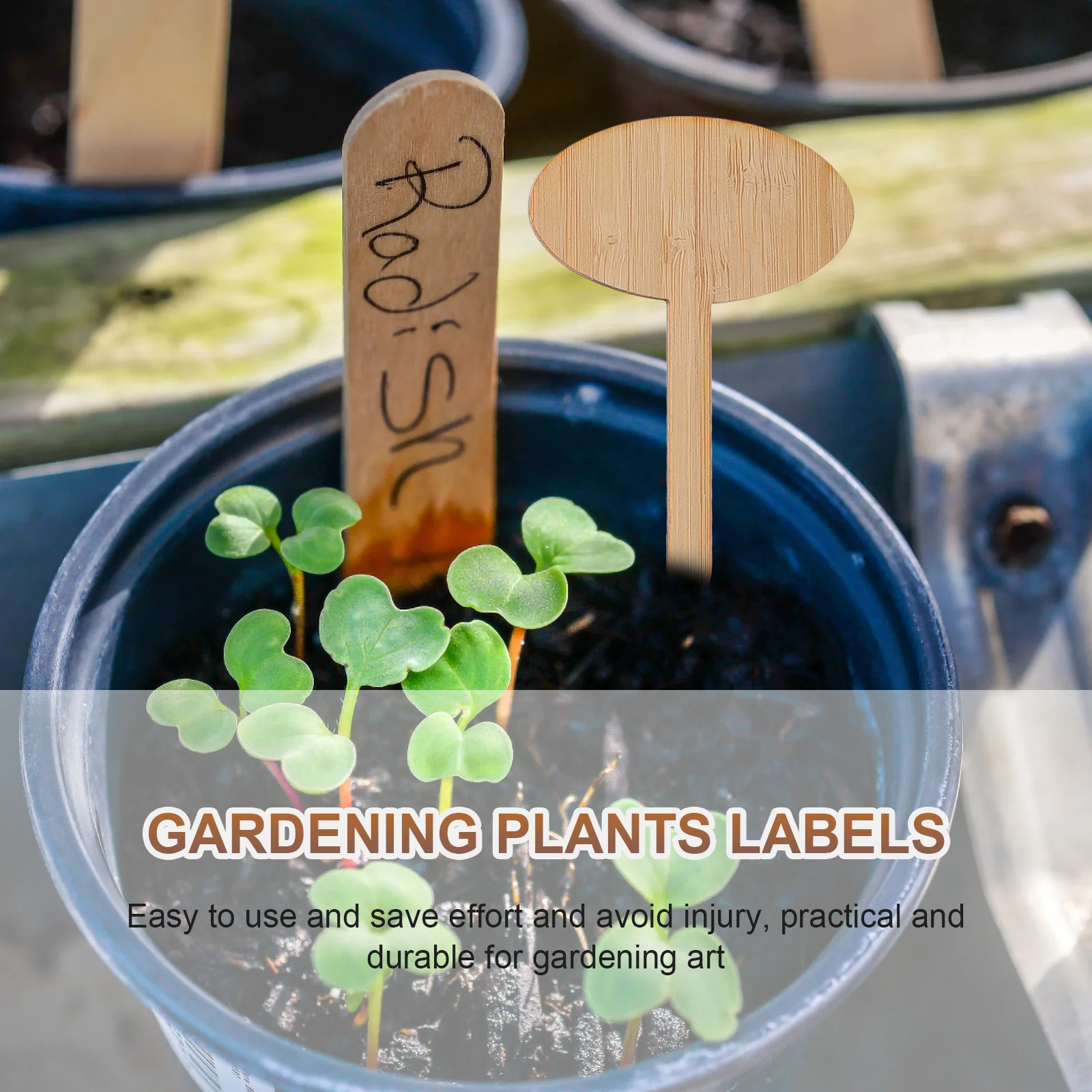 

50Pcs Bamboo Plant Labels Premium Reusable Gardening Markers for Seedling Identification Outdoor Garden Tracking Decorative