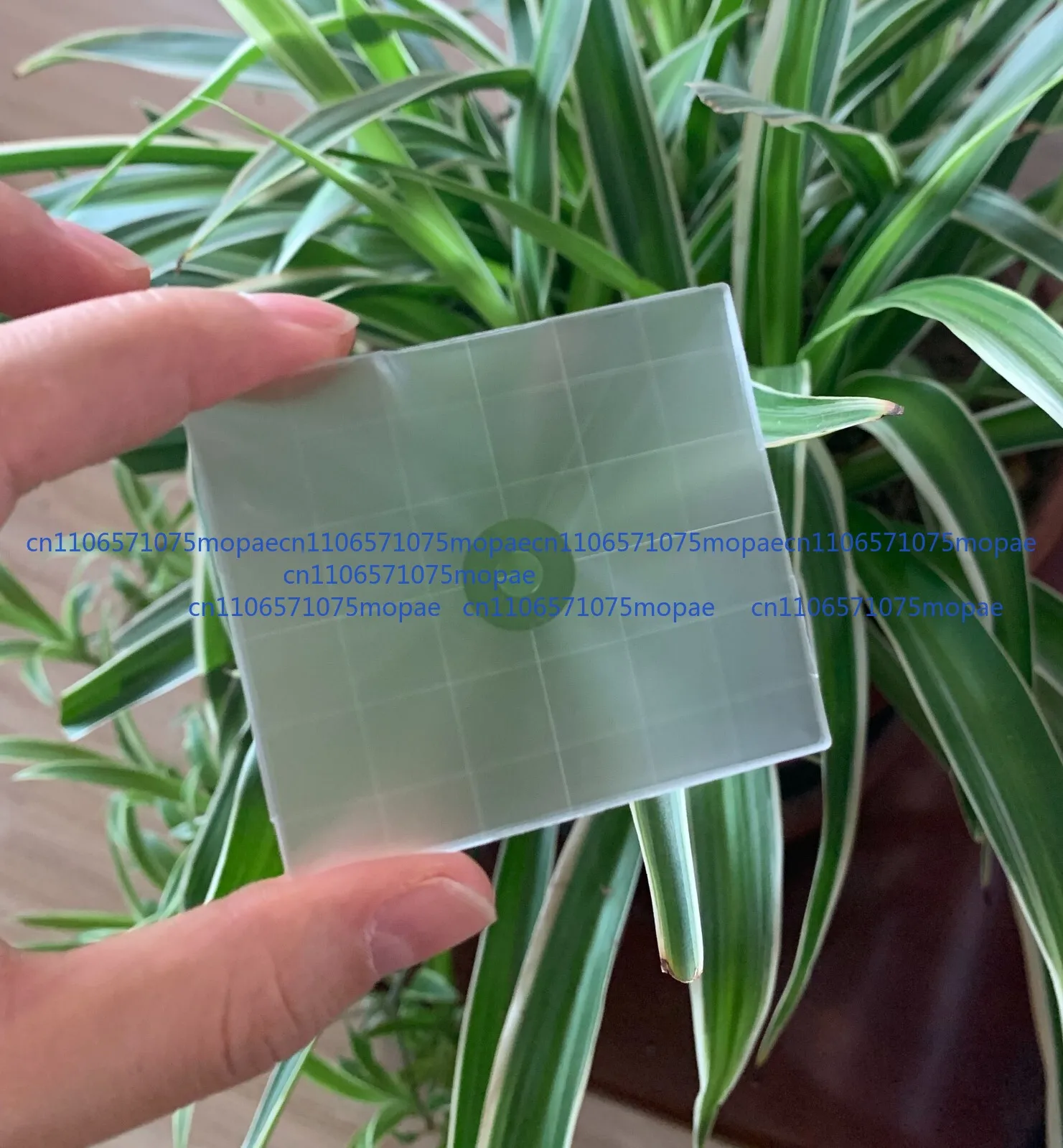 New Ultra-Bright Sp… - image