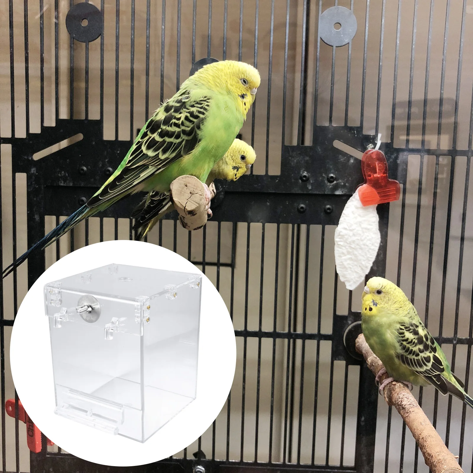 

Bird Bathtub for Cage Birdbath Birds Shower Basin Hanging Bowl Baths Water