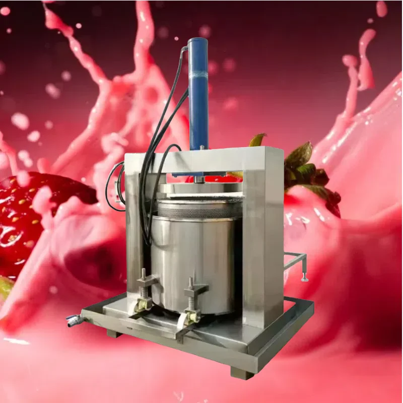 Industriële verticale 380V hyd - Cold Press Juicer recensie en prijs