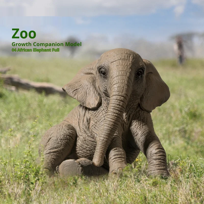 

В наличии, натуральная модель-компаньон короля динозавров в зоопарке, 02, африканский слон, статическое украшение в виде животного, коллекционная игрушка в подарок