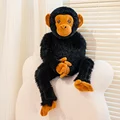 orangutan