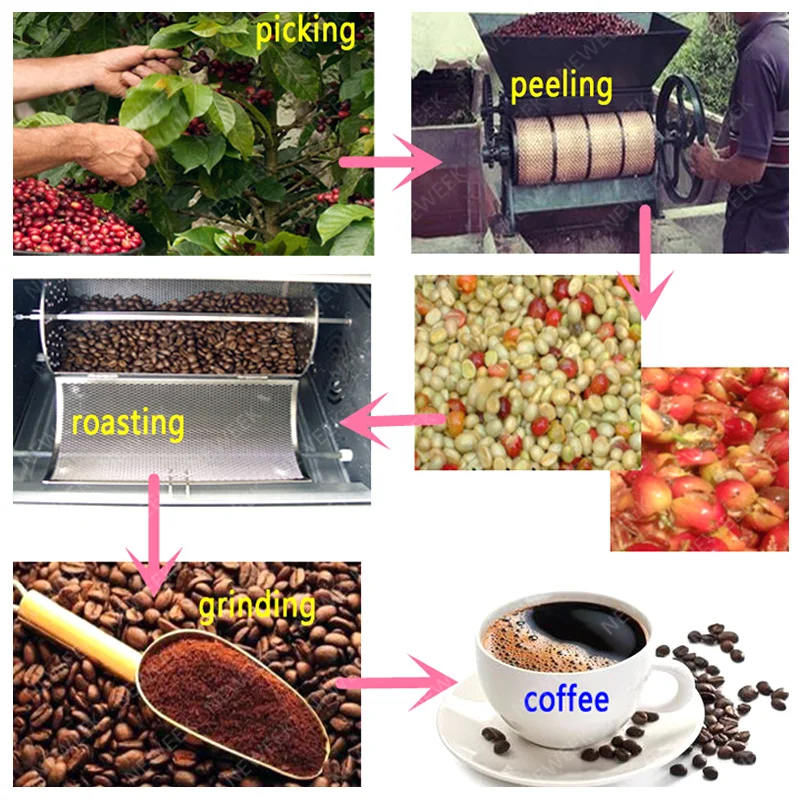 Mini Coffee Cherry Pulper Coffee Beans Dehusking Machine Coffee Bean Peeler