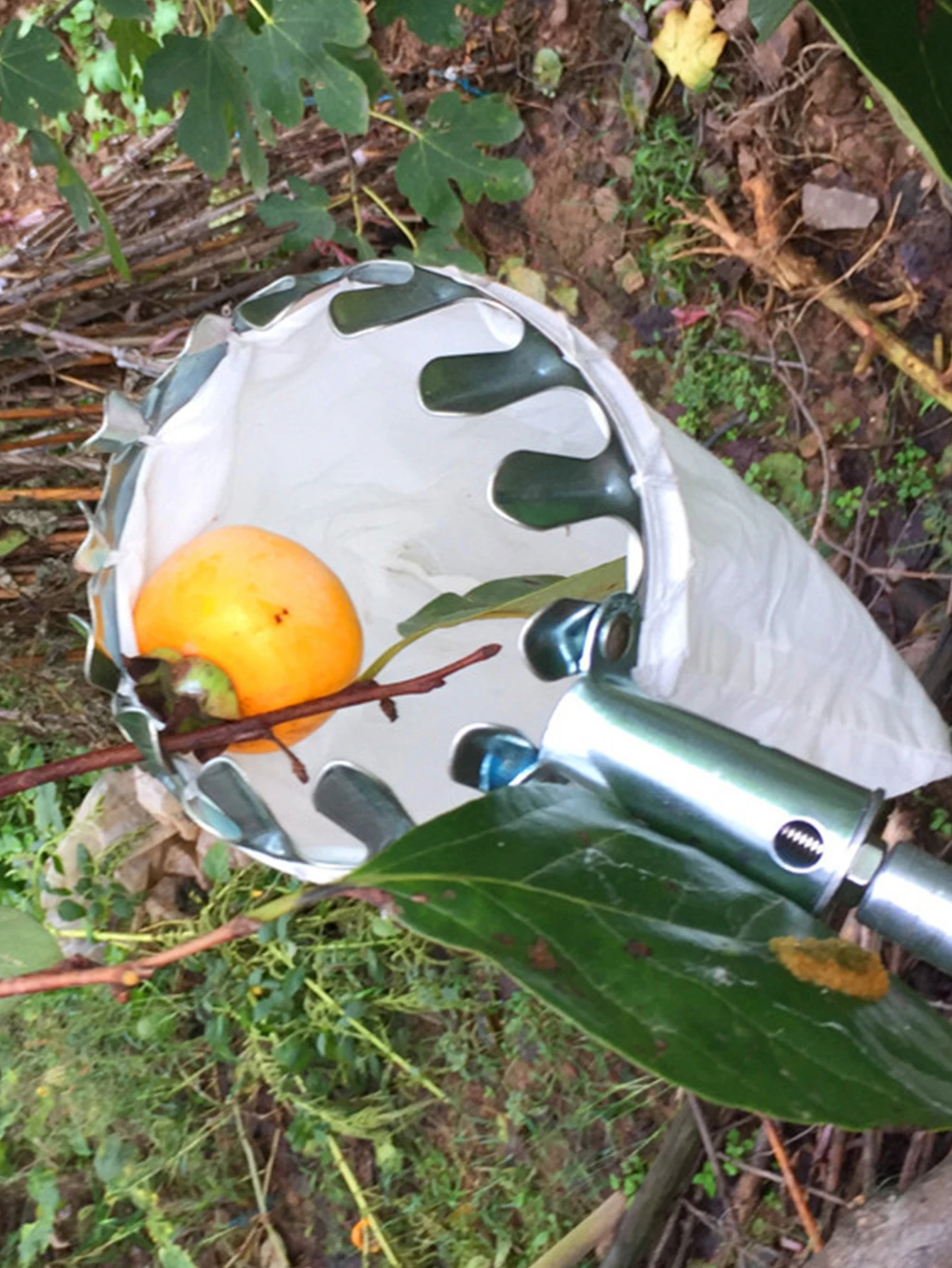 Fruit Picking Machine Fruit Collection Picking Catcher Device Is Practical And Convenient Fruit Picking Machine Gardening Tool