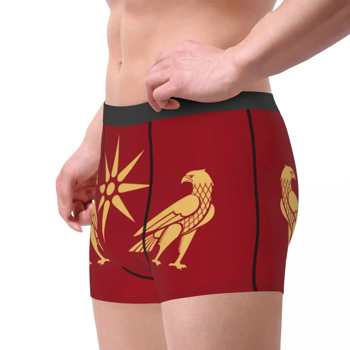 Cool Artaxiad Dynasty Flag Boxers Shorts Panties Male Underpants Breathbale Briefs Underwear