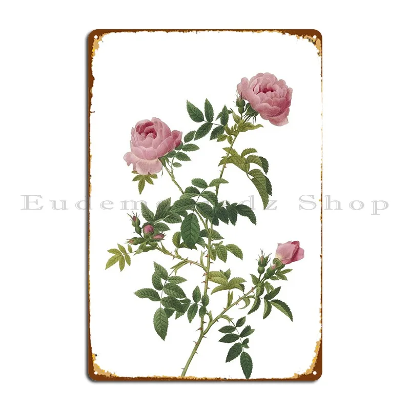 Rose Of The Hedges Metal Plaque Poster Mural Club Cinema Customize Bar Tin Sign Poster