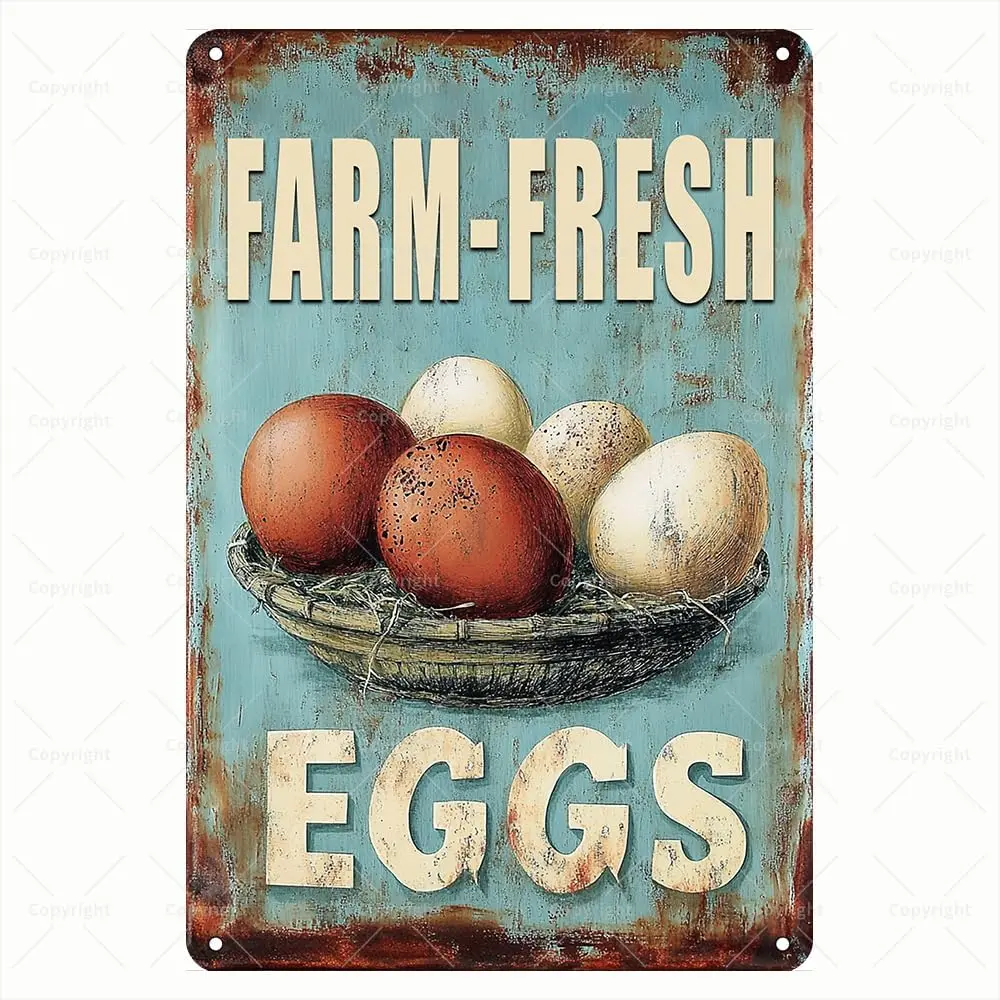 Retro Metal Sign - No Questions Asked, Chickens Crossing the Road Funny Chicken Wall Art Tin Sign - Humorous Tin Sign for Home/B
