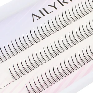 Natural fairy false eyelashes, Korean makeup, individual eye eyelashes, fake eyelashes, AM, type A, 8-12mm 8 Main Sales Korean Makeup - №4
