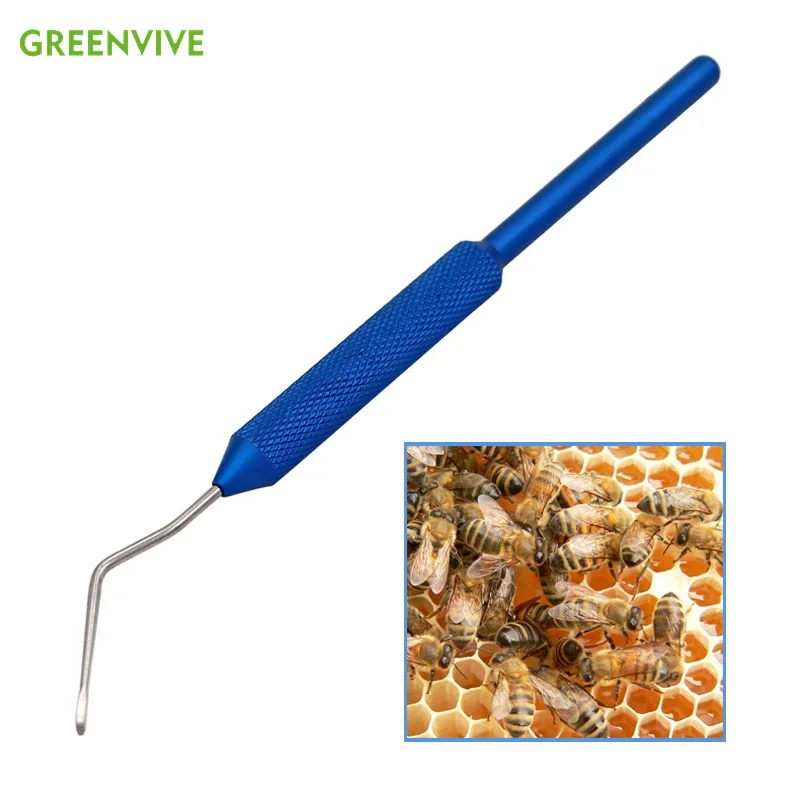 

2Pcs Stainless Steel Larvae Moving Grafting Needle Honey Bee Queen Rearing Larva System Move Bee Worms Needle Beekeeping Tools