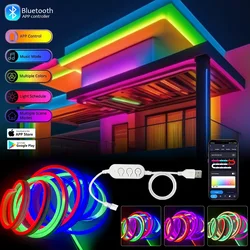 Usb neon rgbic streifen led licht dc5v bluetooth app smart streifen licht ip67 wasserdicht magie traum farbwechsel diy flexibles band