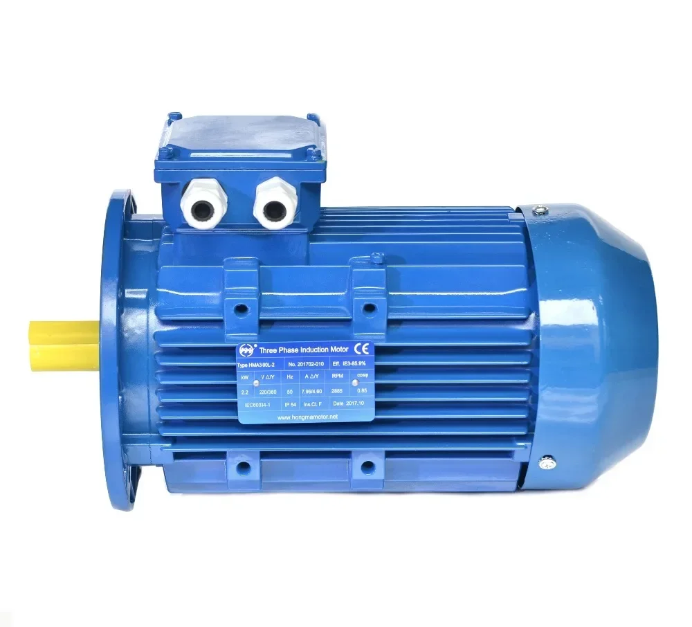 High Efficiency 37KW 50HP 2Pole Cast Iron 3 Phase Supplier Three Phase AC Industrial Induction Asynchronous Electric Motor