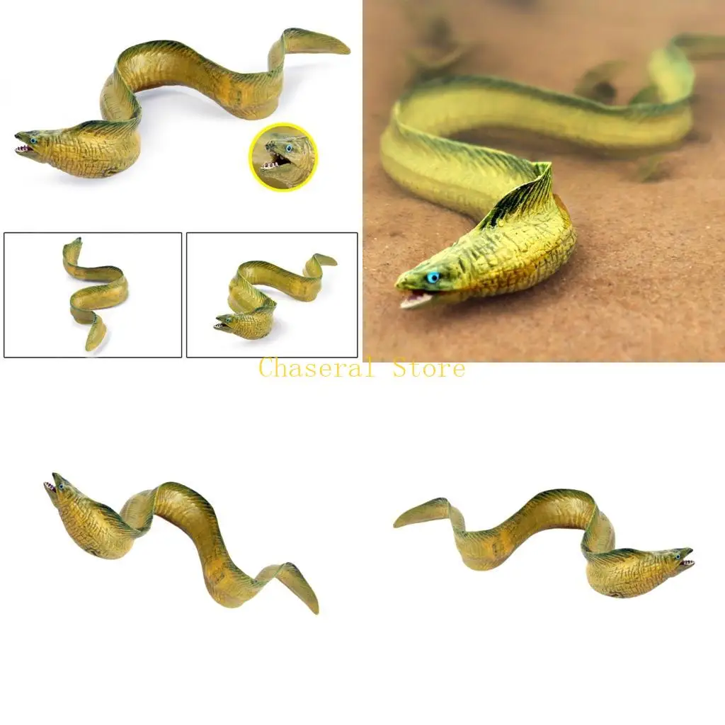 E7CE Sea Fish Model Figurine Simulation Eel Figure for Classroom Teaching Use