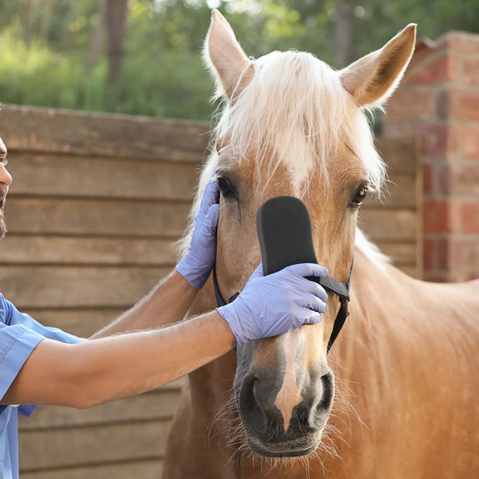 

5Pcs Beauty Sponge Washer Horse Cleaning Sponges for Body Wash Grooming Cattle Bathing Tools Soft Comfortable Grip
