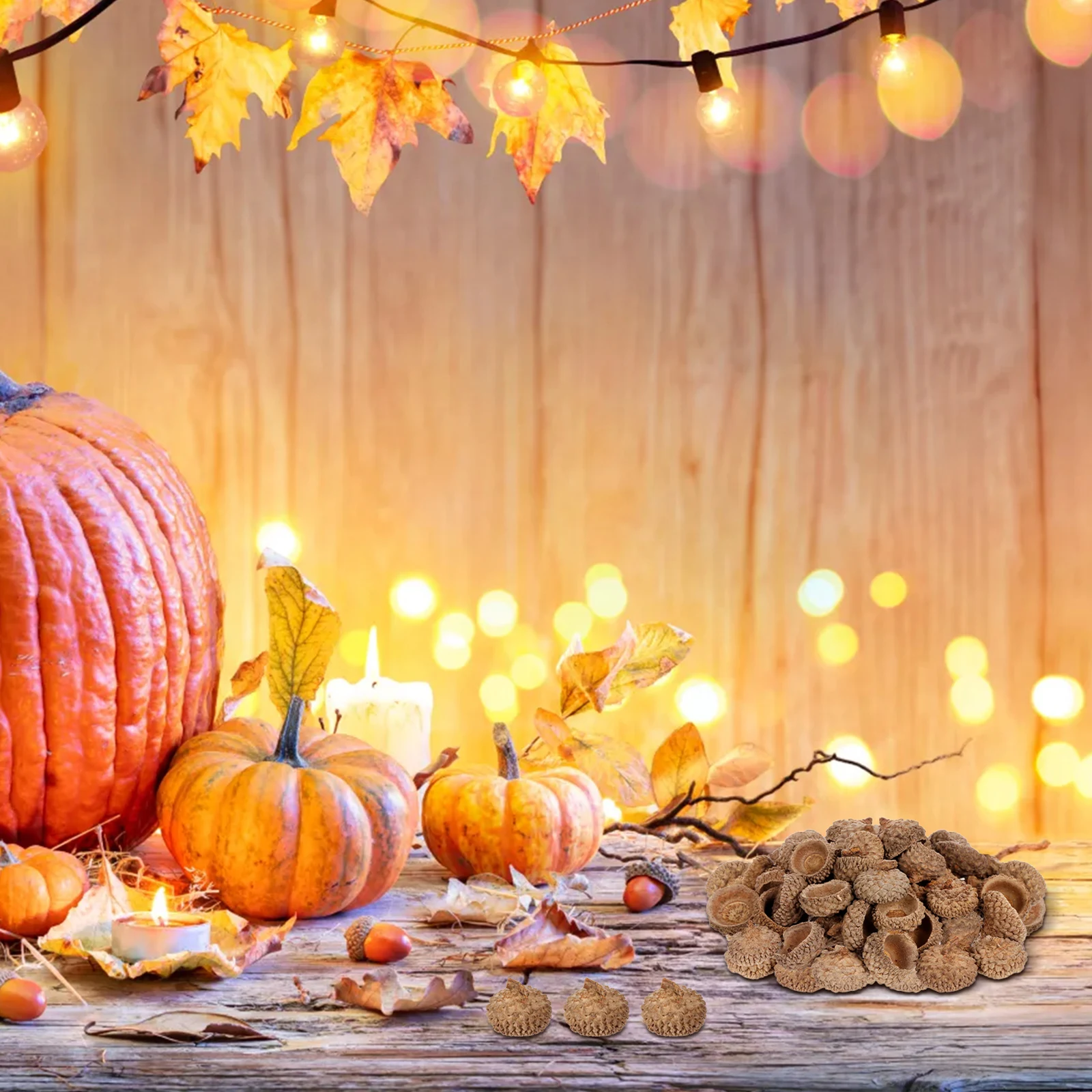 

150Pcs Natural Dried Acorn Caps Small Rustic Size Great for Autumn Kitchen Scatter Thanksgiving Centerpiece Decorative Home