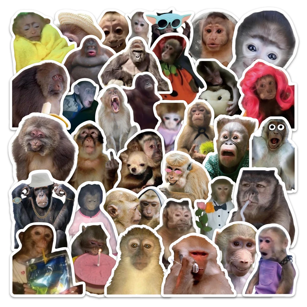 54 pieces of monkey meme sticker cards, funny and abstract Instagram-style expressions, interesting animal-themed notebook stick