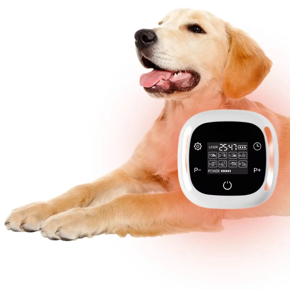 Veterinary Cold Laser  Pain Relief Device Dogs Joint and Arthritis Pain Relief Animal Instrument