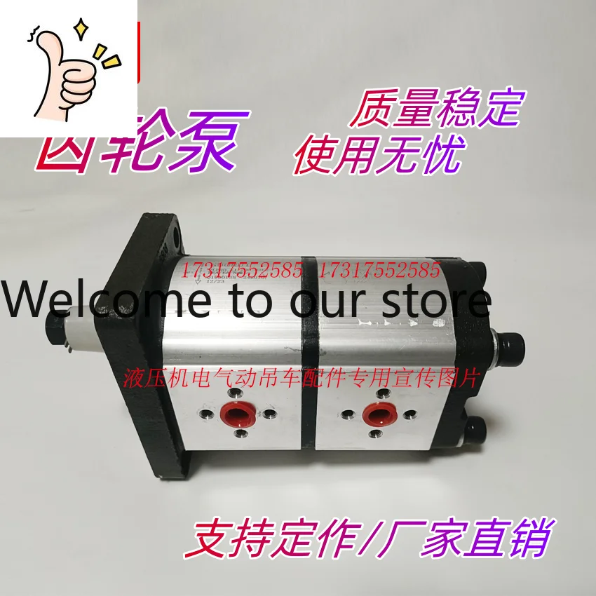 Sales SUORUI CASAPPA HCHC Sunny VOUTH And Other Brand Gear Pumps