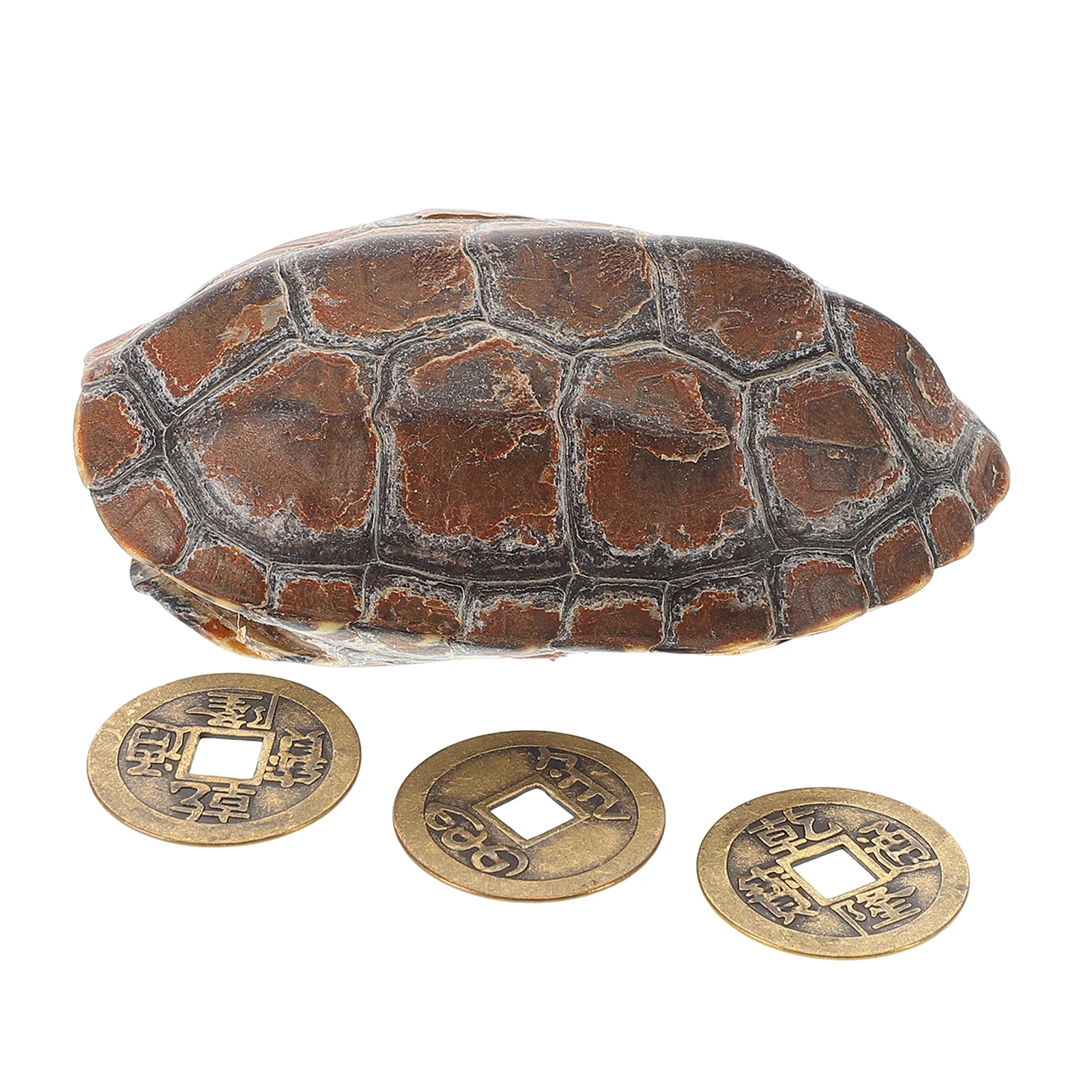 

Retro Turtle Shell H Design Delicate Craftsmanship Office Decor Living Room Aesthetic Shells Fortune Game Props