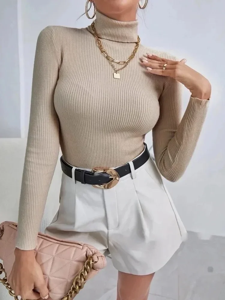 Basic Turtleneck Knit Sweater Women 2023 New Slim Knitwear Women High Neck KNitting Shirt  Long-sleeved PUllover Sweater