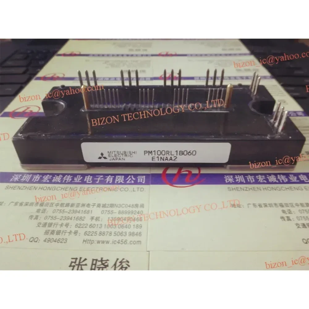 

PM100RLIB060