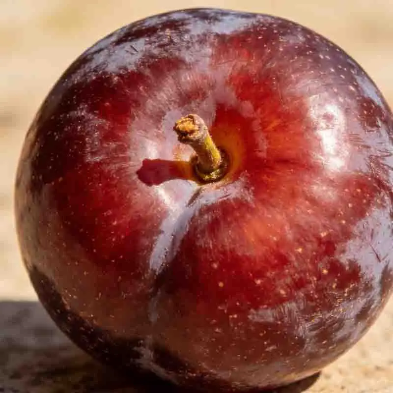 

T-Motor M1104 KV7500 M1106 KV6000 Micro Motor Brushless Motor Small Lightweight W/1.5mm shaft For FPV 90mm 110mm Micro Drone