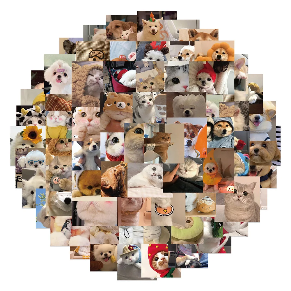 10/30/50/100pcs Kawaii Animale Gatto Cane Meme Adesivi Cute Pet Gattino Cucciolo Adesivo Del Fumetto di Skateboard Diario Del Telefono Graffiti Decalcomanie