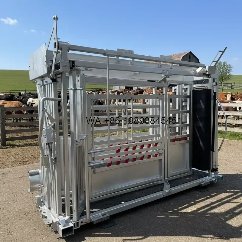 Wmwmnu High Quality Mobile Cattle Hoof Trimming Chute Squeeze Crusher Handling with Weighing Scale for Farm Livestock