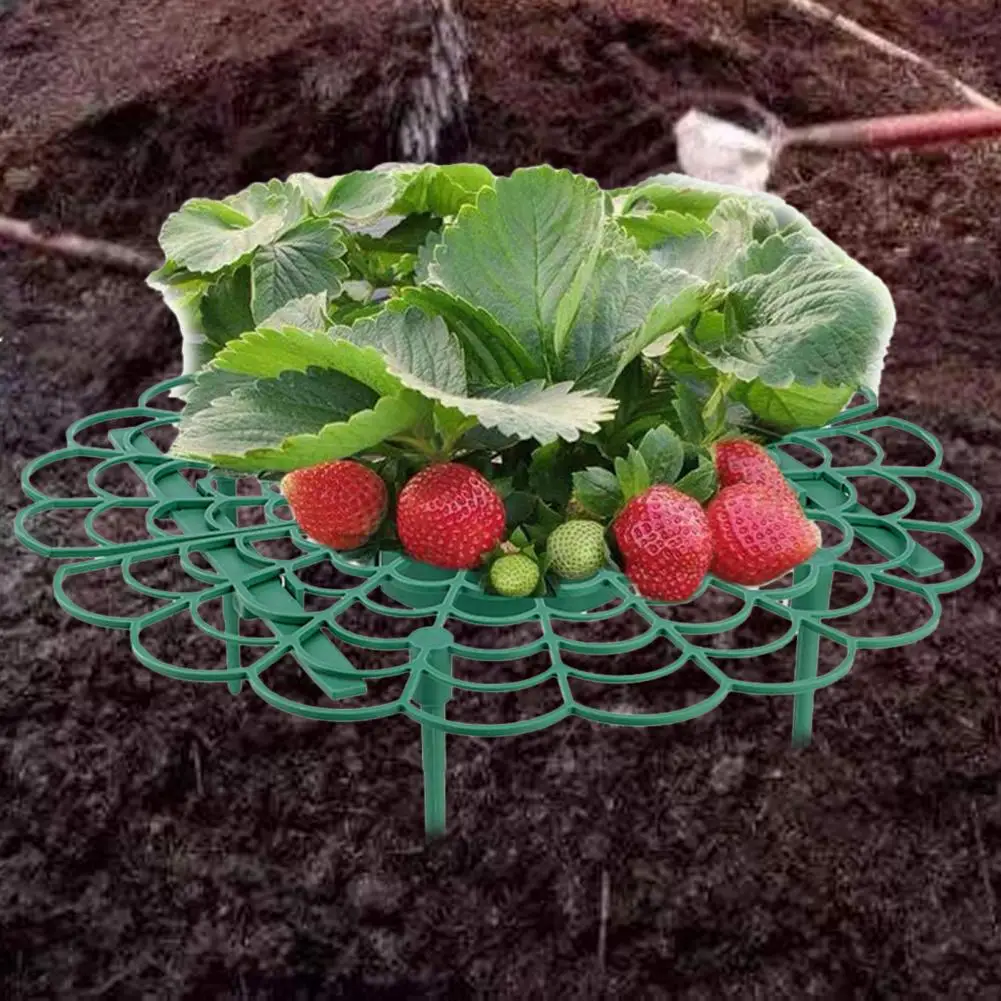 Strawberry Supports Keeping Plant Fruit Stand Vegetable Growing Rack Protecting Vines Avoid Ground Plant Support Garden Tools