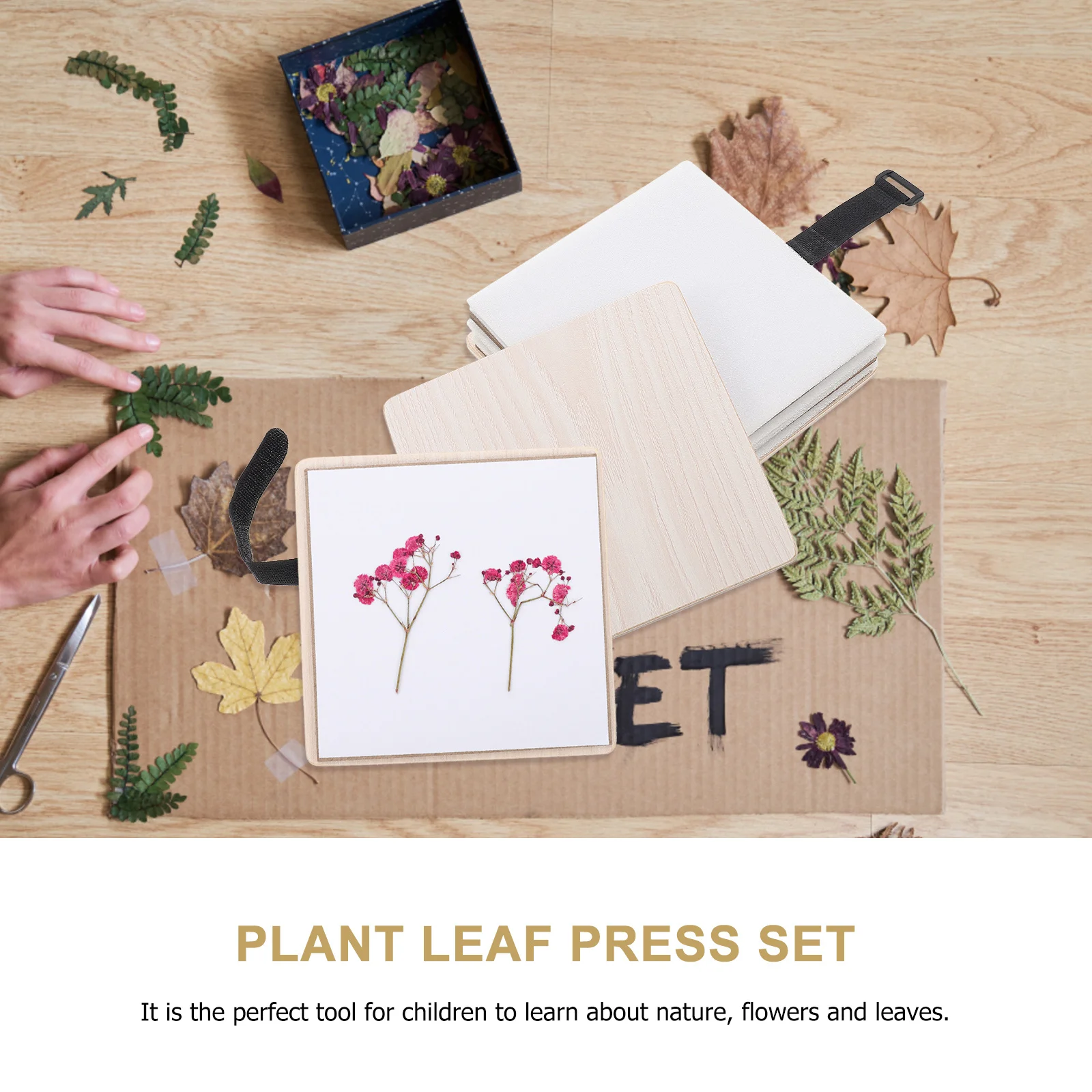 

DIY Flower Press Kit Plant Leaf Pressing Tool Mini Dried Plants Embossing Device Wood Specimen Set for Craft Art Preservation