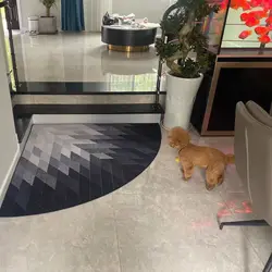 Nordic Modern Fan-Shaped Corner Carpet, Washable Floor Mat, Irregular Triangular Door Mat, Living Room, Bedroom, Porch Home, 1Pc
