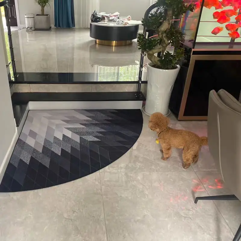 Nordischer moderner lüfter förmiger Eck-Teppich, wasch bare Boden matte, unregelmäßige dreieckige Tür matte, Wohnzimmer, Schlafzimmer, Veranda nach Hause, 1PC