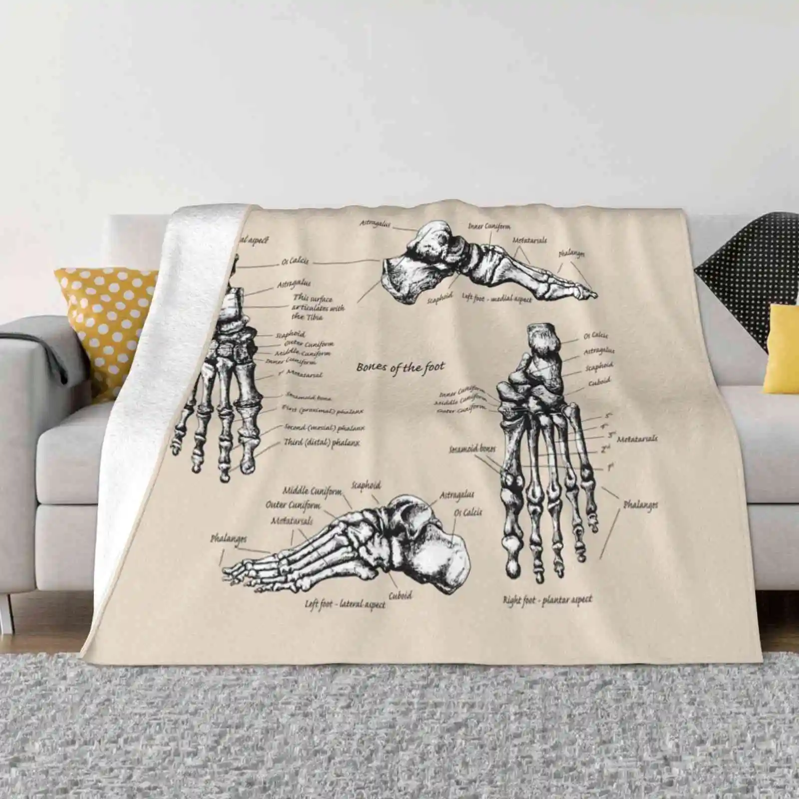 The Bones Of The Human Foot. New Selling Custom Print Flannel Soft Blanket Squirrox Ankle Anatomy Foot Bones Human Bones Human