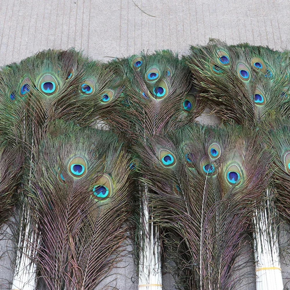 Wholesale 10PCS Natural Big Eyes Peacock feather 25-80CM High Quality feathers for party Home Decorative Peacock Plume