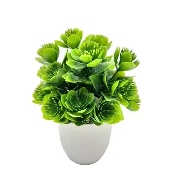10 best sales 花盒 - №6