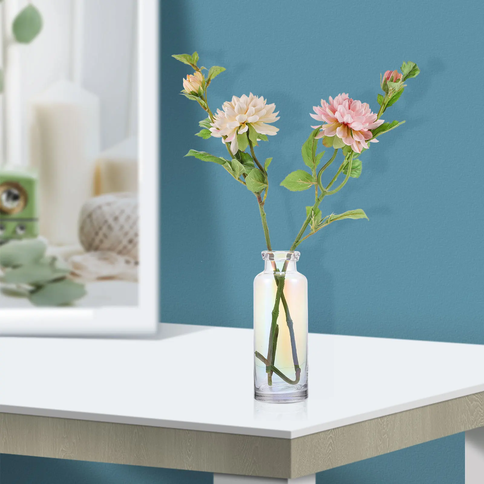 

Colorful Glass Vase Hydroponic Plants Desktop Planter Garden Decoration Terrarium Container Hydroponic Plants Vase