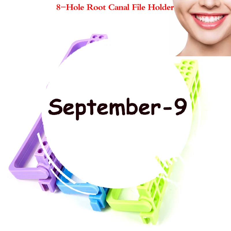 

1pc Dental Endo Files Holder 8/16 Holes 3 Colos Endo Stand Endo Tray For Endodontic Files Organizer Endo Box