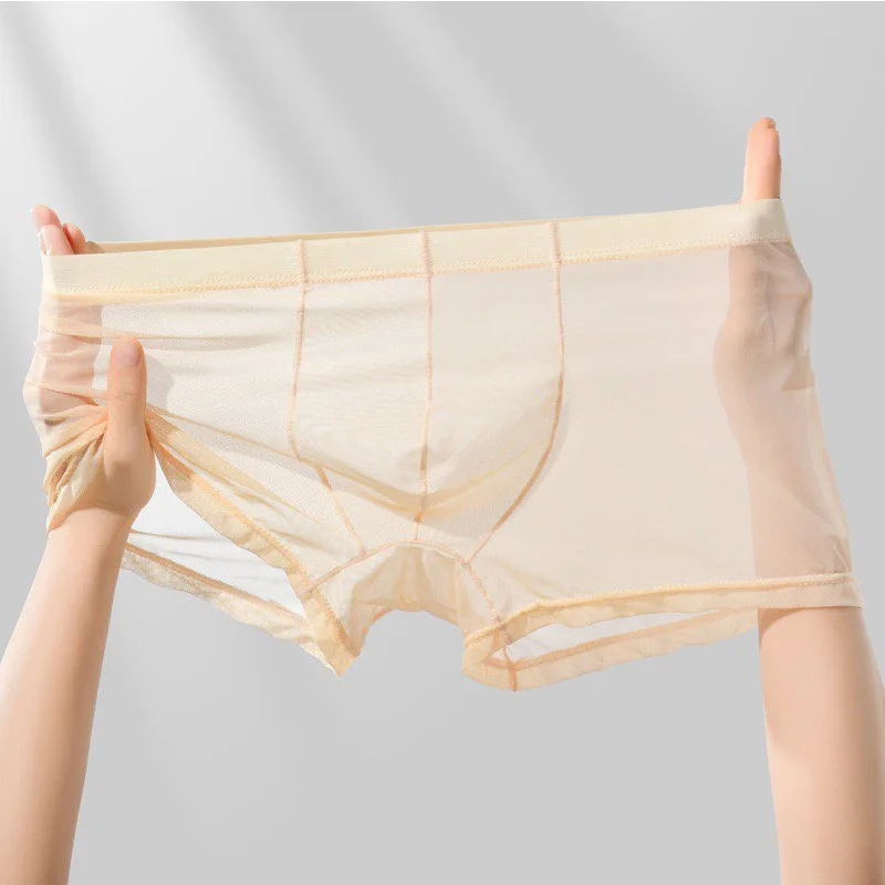 Men's Transparent Ice Silk Boxers Low Waist Bulge Enhancing See Through Sexy Briefs Underwear Lingerie Intimates
