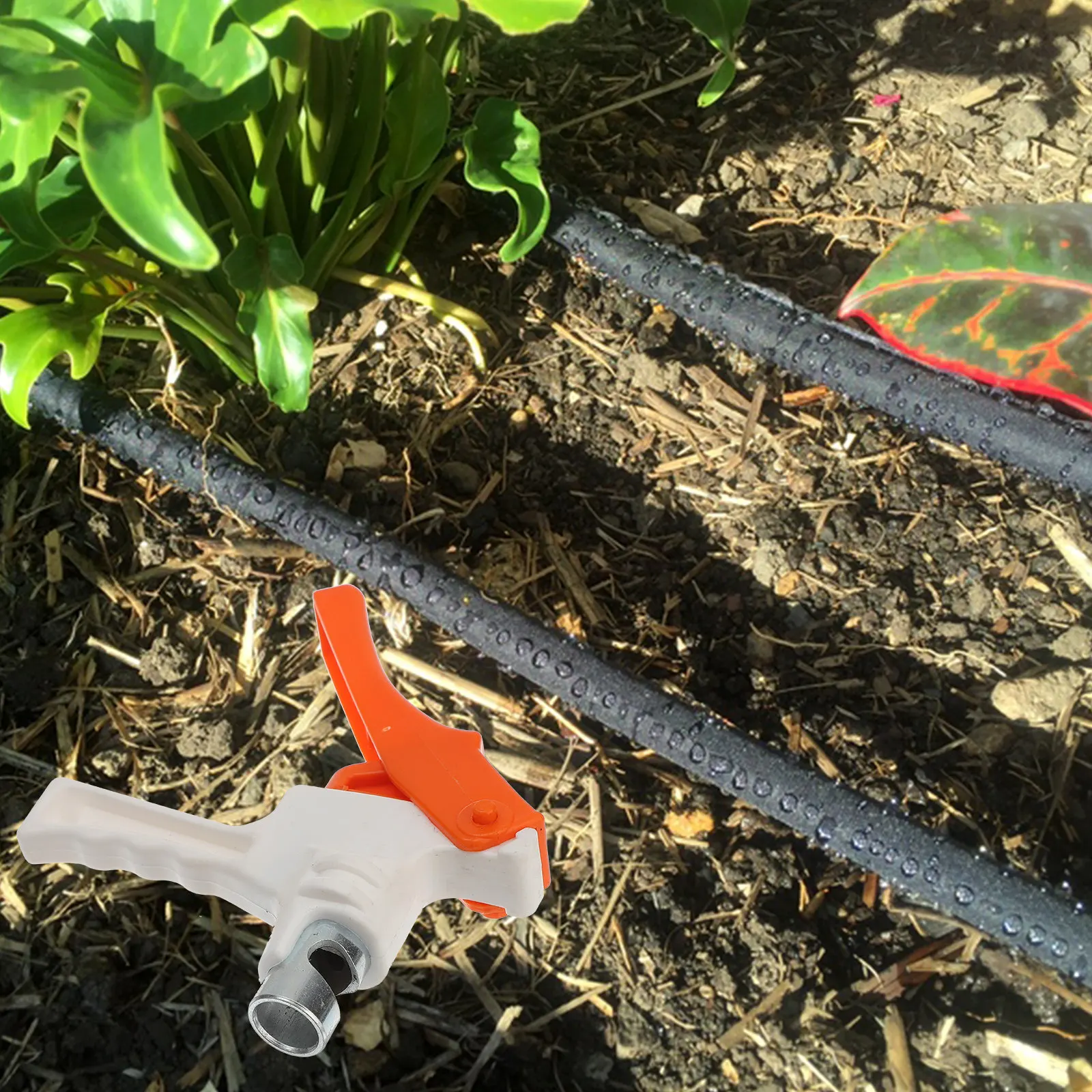 เครื่องมือเจาะรูระบบน้ำหยดแบบพ - Gardening Tools In Store บทวิจารณ์และราคา