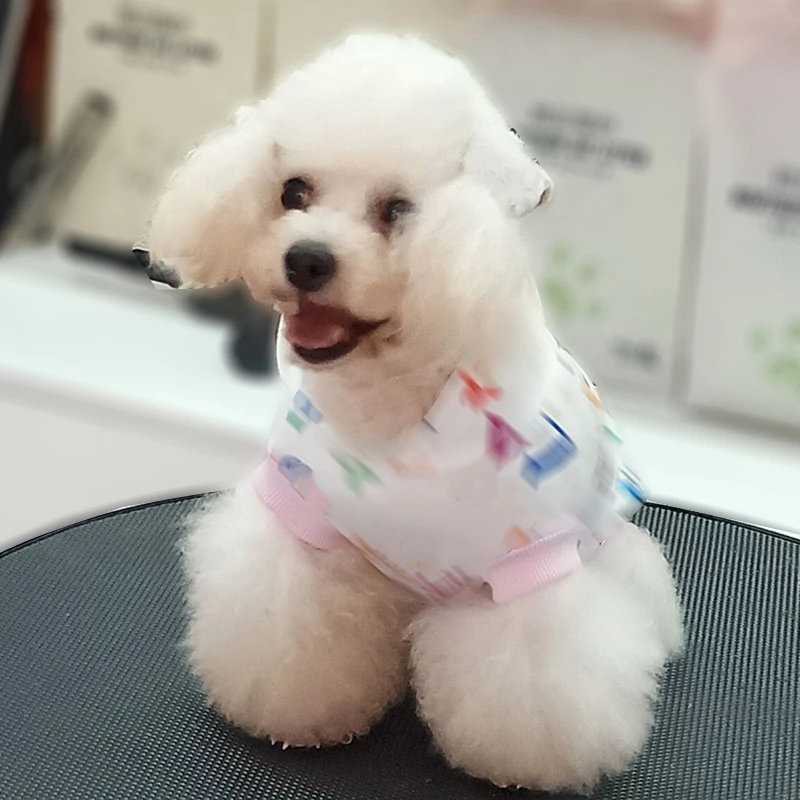 Fashion brand dog clothes custom logo spring autumn dog clothes pet supplies