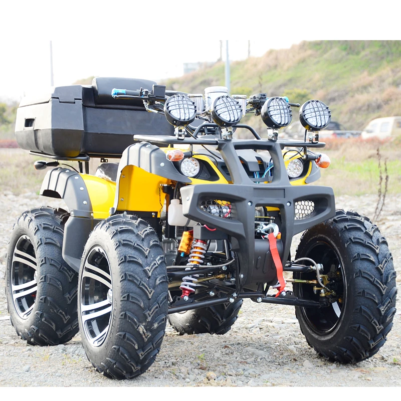 300cc 4-stroke Engine Atv Quad Bikes 1000W Maximum Speed of 80-90km/h Cross-country Friendly