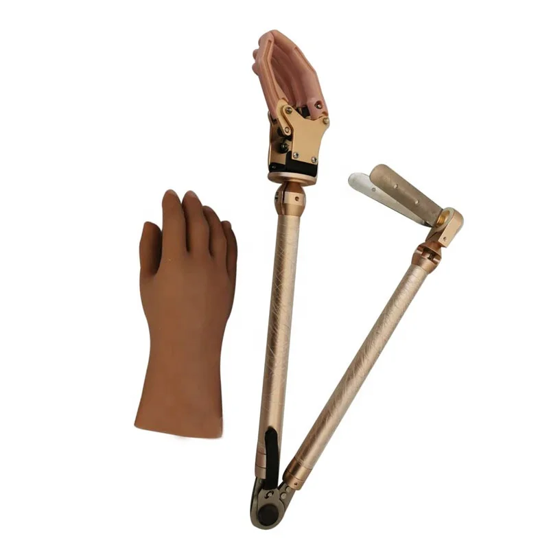 

Artificial Prosthetics Hand Upper Limb Mechanical Prostheses Prosthetic Hand