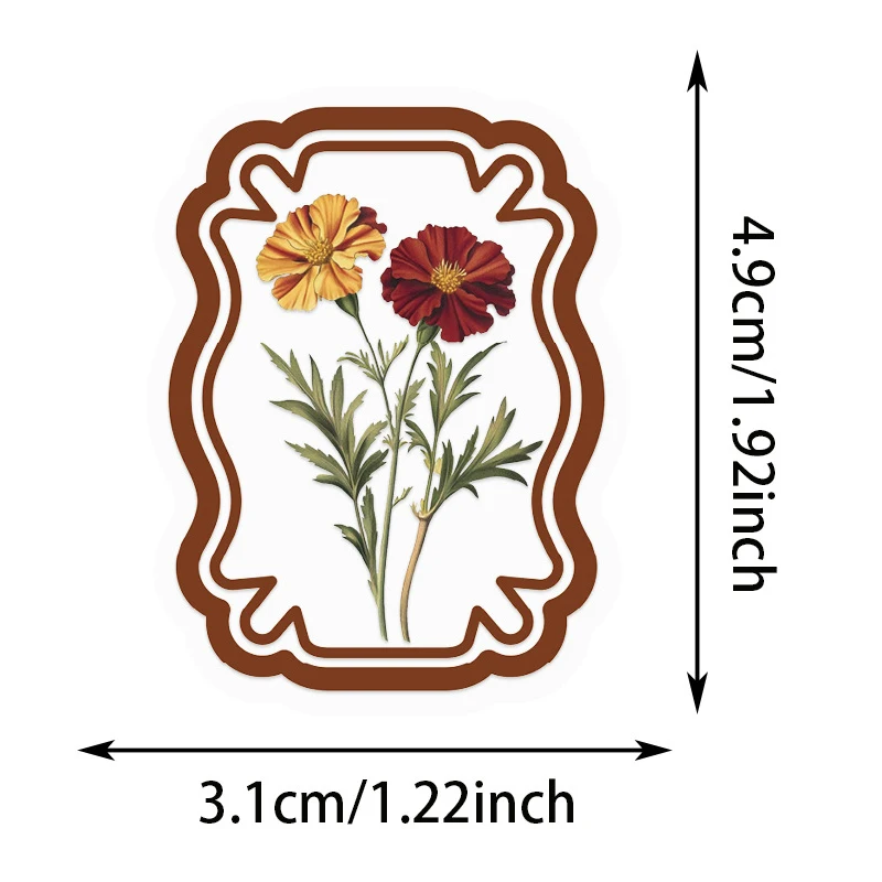 50 قطعة من ملصقات النباتات الشفافة خمر PET شفافة الشارات الزخرفية DIY بها بنفسك سكرابوكينغ الحرف ألبوم دفتر الهاتف #5