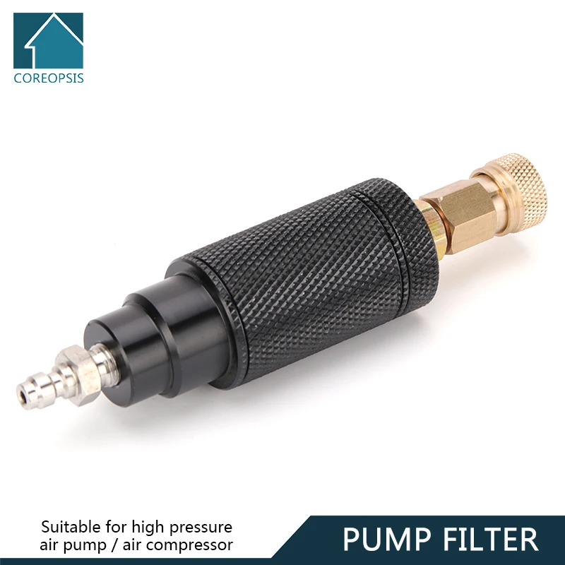 

Pump Filter with M10x1 Thread Quick Disconnect Air Compressor Water-Oil Separator Air Filtering 40Mpa Filtering Element PCP