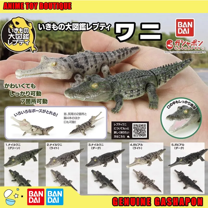 

Bandai Genuine Biological Encyclopedia Figures Model Crocodile Gashapon Ball Original Ornaments Simulated Movable Ornament Model