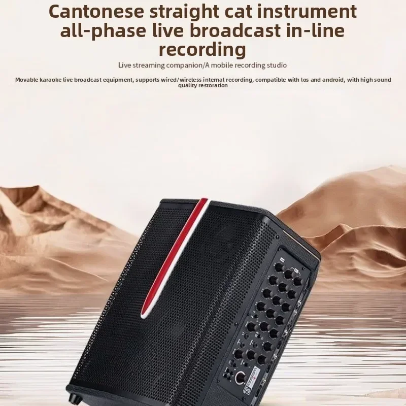 High-power outdoor live broadcast Karaoke guitar playing and singing, electric blowpipe singing