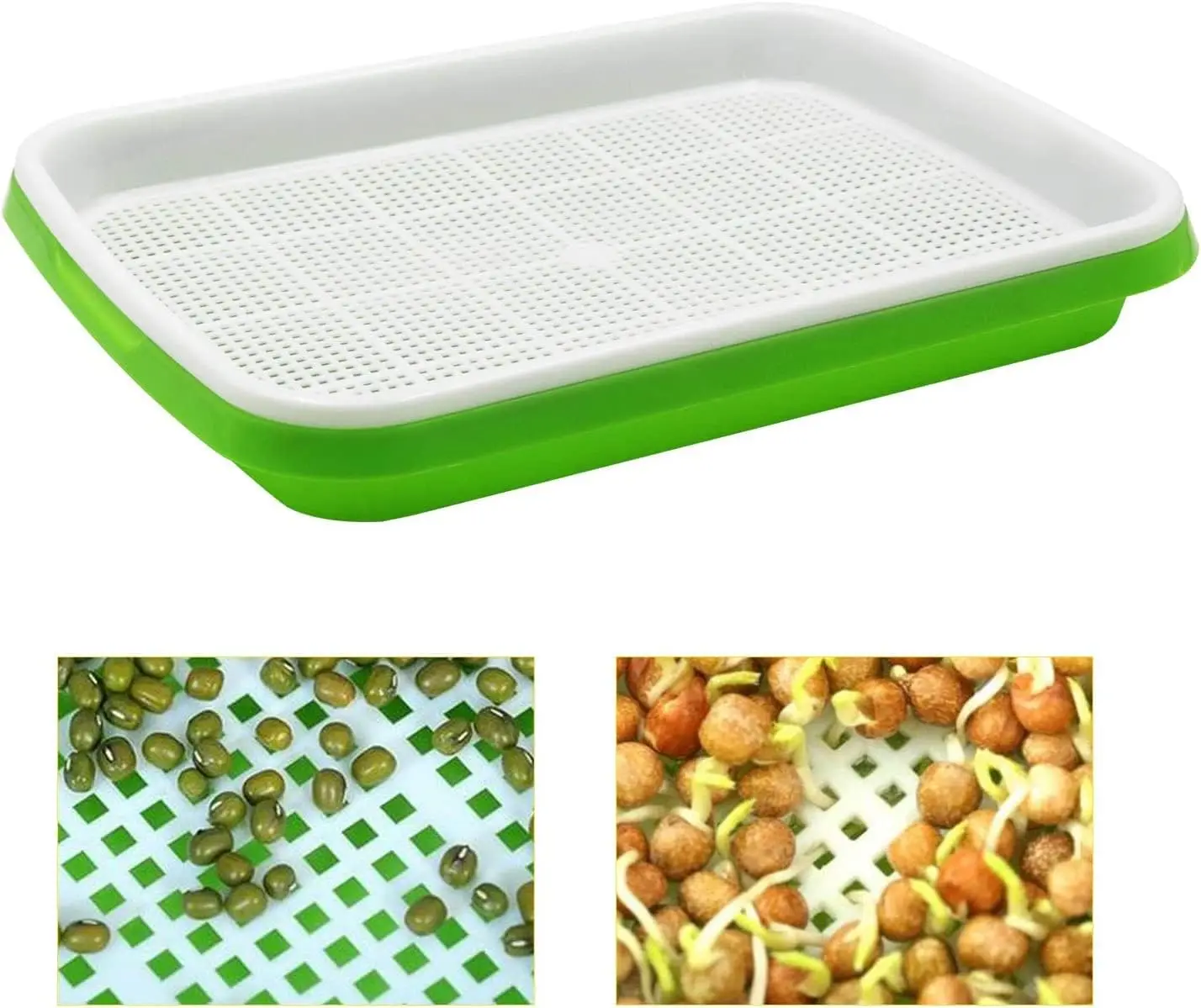 صينية إنبات البذور بدون تربة لزراعة شتلات الحديقة ونمو أداة زراعة براعم الفاصوليا النباتية #4