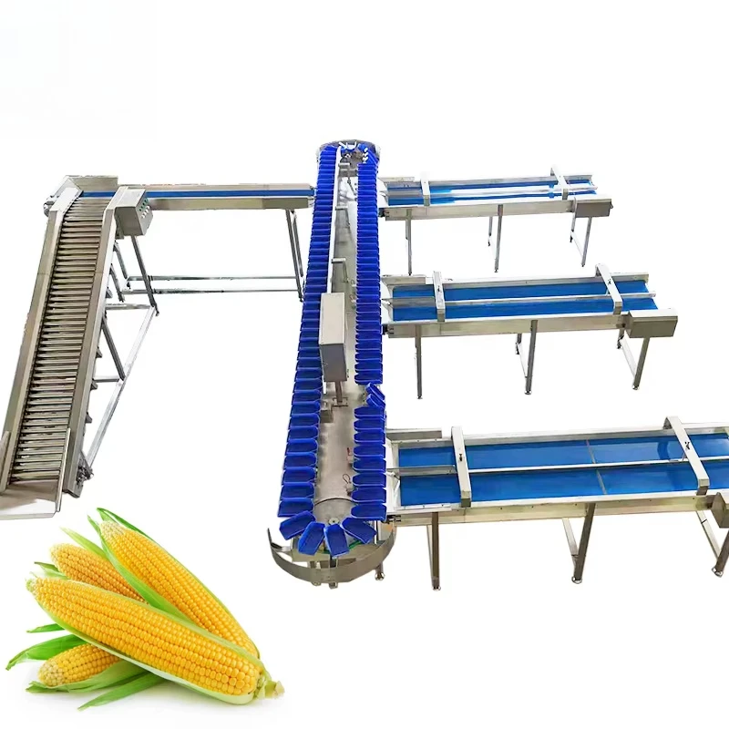 Universal Automatic Weight Sorting Machine for Onion, Garlic, Blueberry & Seafood Processing, Specializing in Potato