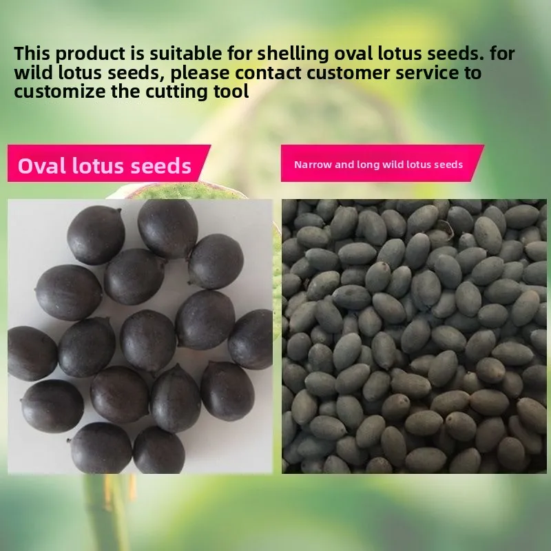 Electric old lotus seed shelling machine, shelling machine, lotus seed shelling machine
