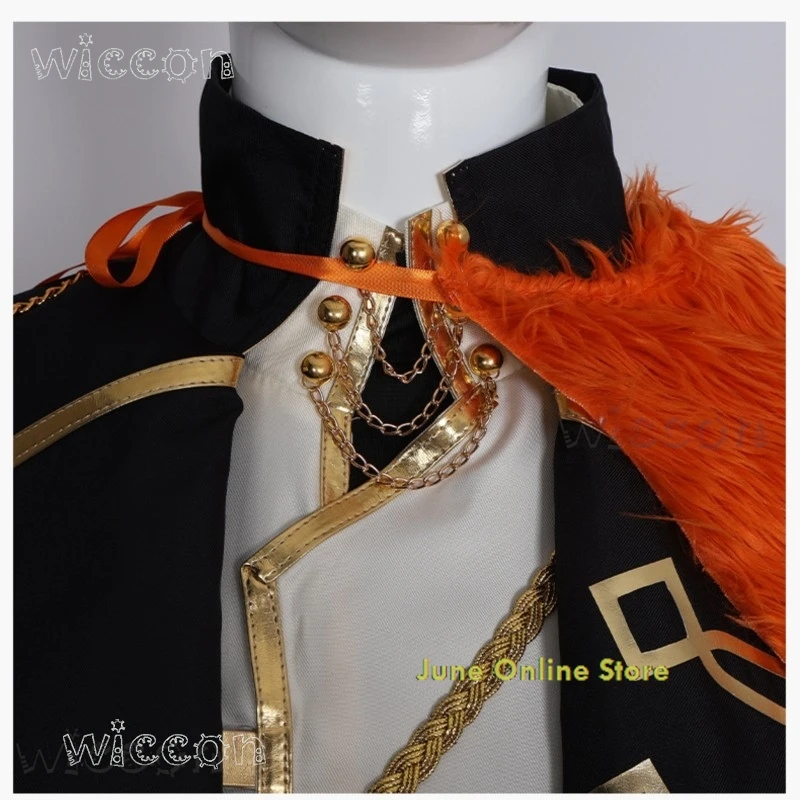 Adult Carnival Cost…