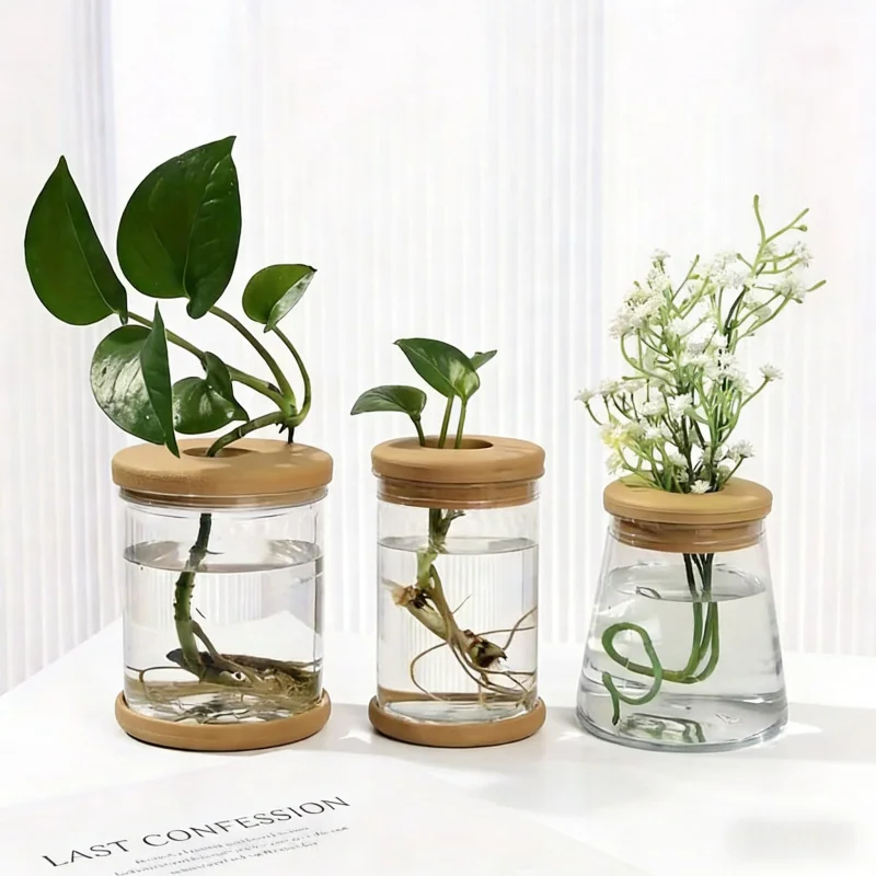 Glass Flower Pot3Set with Wooden Lid Tray Succulent Green Radish Hydroponic Container Gift Plant Container Accessories